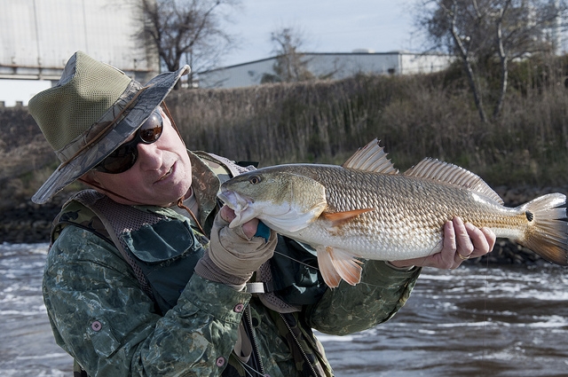  Pesca em Castellón 